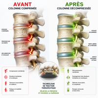DorsaCalm® | Masseur Lombaire Chauffant 3-en-1